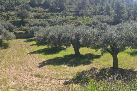 Landejendom i Flix, Tarragona, Flix - € 37.500 | Ref: L1016F - foto 15